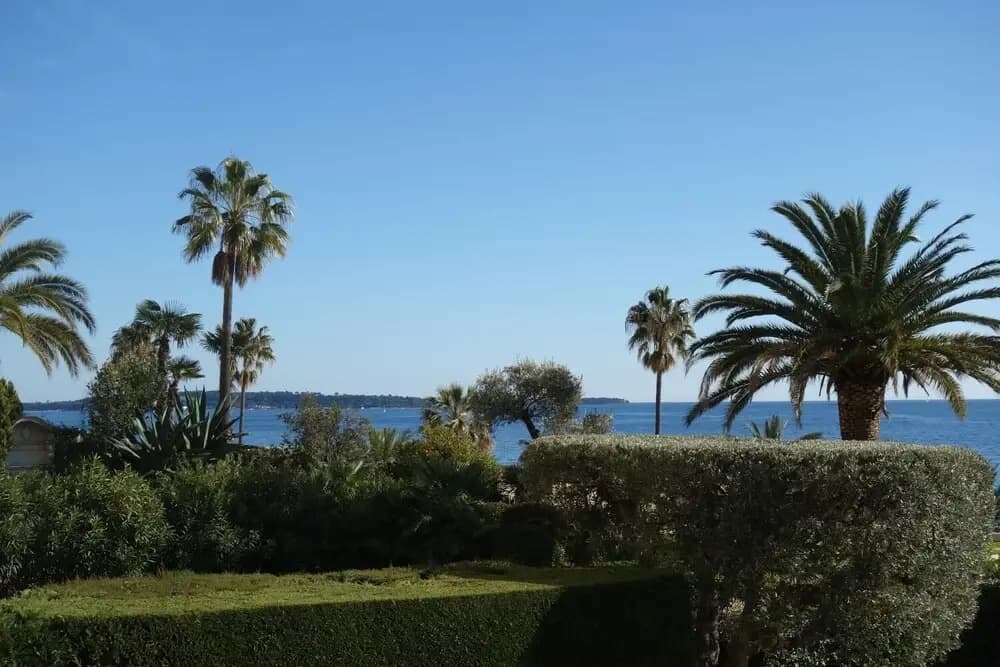 Welcome to Cannes - Rocamare 2 - Miniature 7