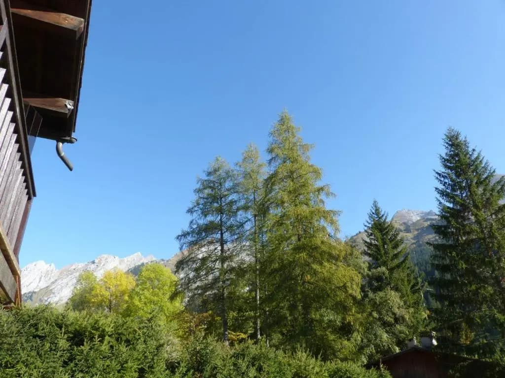 Appartement La Clusaz, 2 pièces, 4 personnes - FR-1-437-68 - Photo 2
