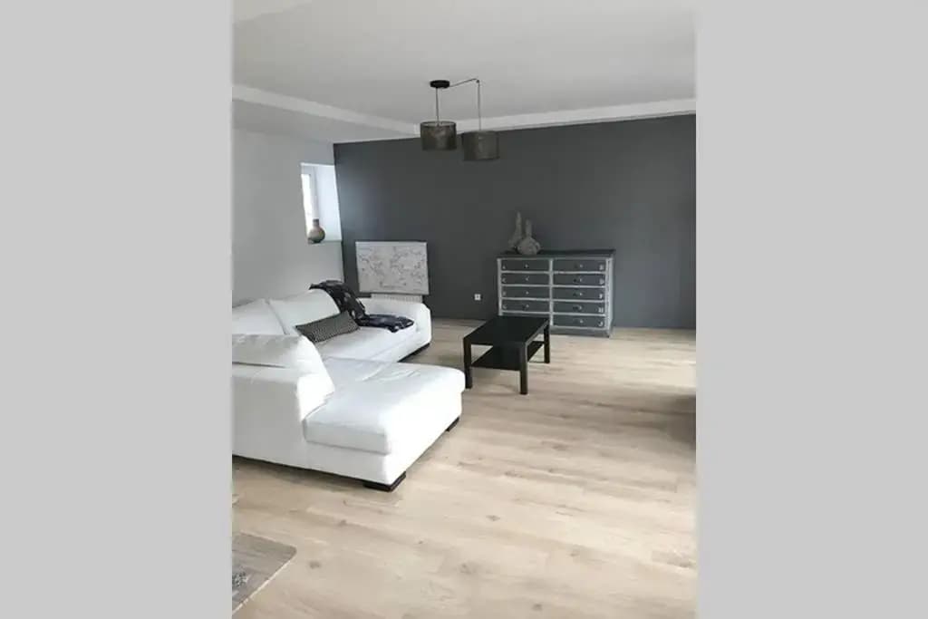 Annonay centre, grand appartement cosy, 3 chambres - Photo 2