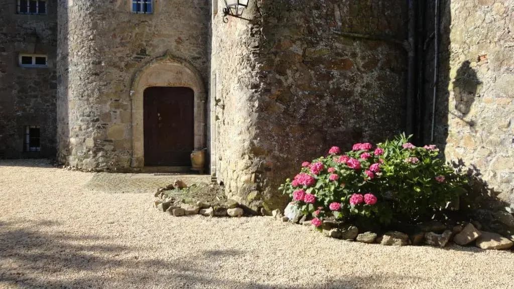 Château de la Frogerie - Photo 1