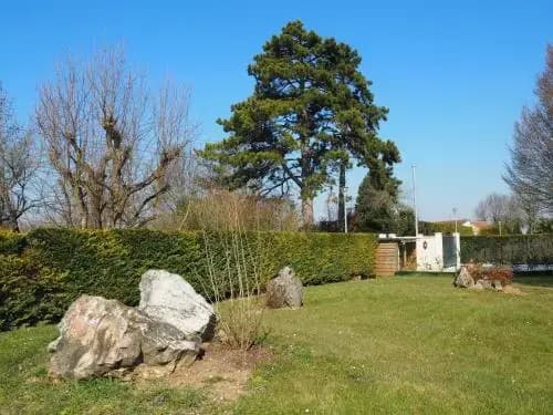 Paris Côté Jardin - Photo 3