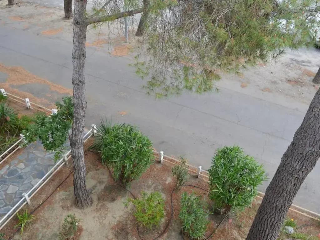 Appartement Argelès-sur-Mer, 2 pièces, 4 personnes - FR-1-225-68 - Miniature 8