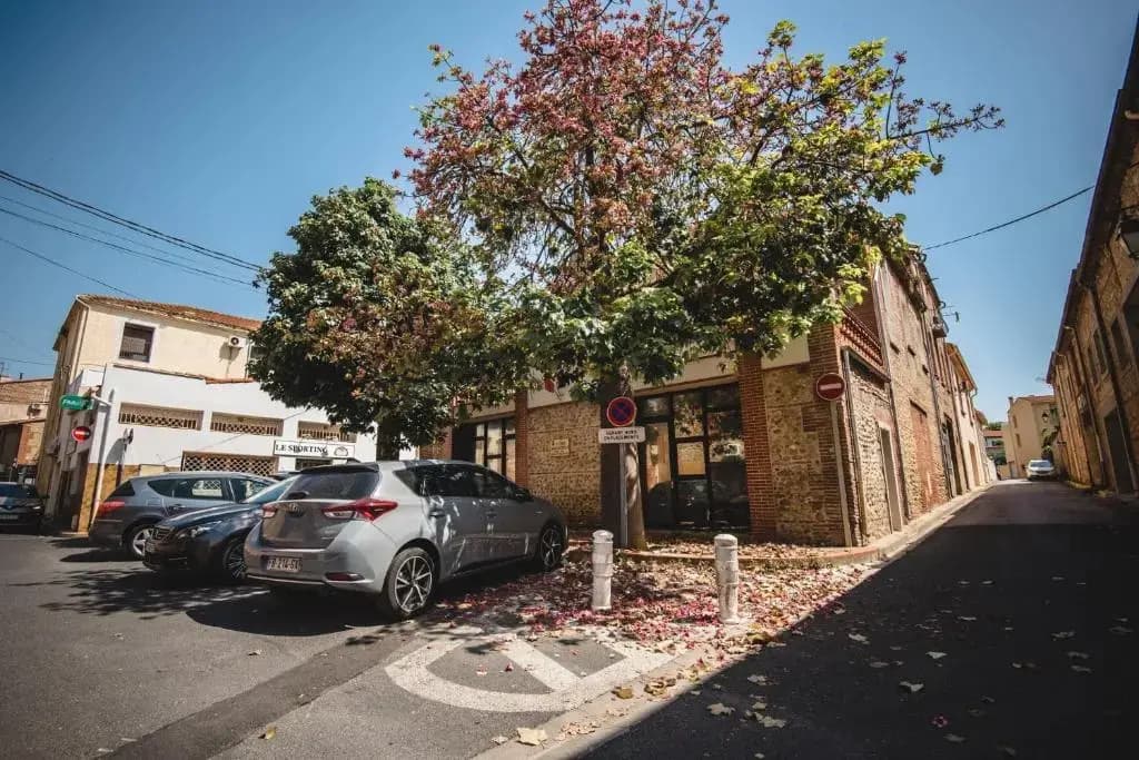 Bel appart rénové 10mn des plages et de Perpignan - Photo 1