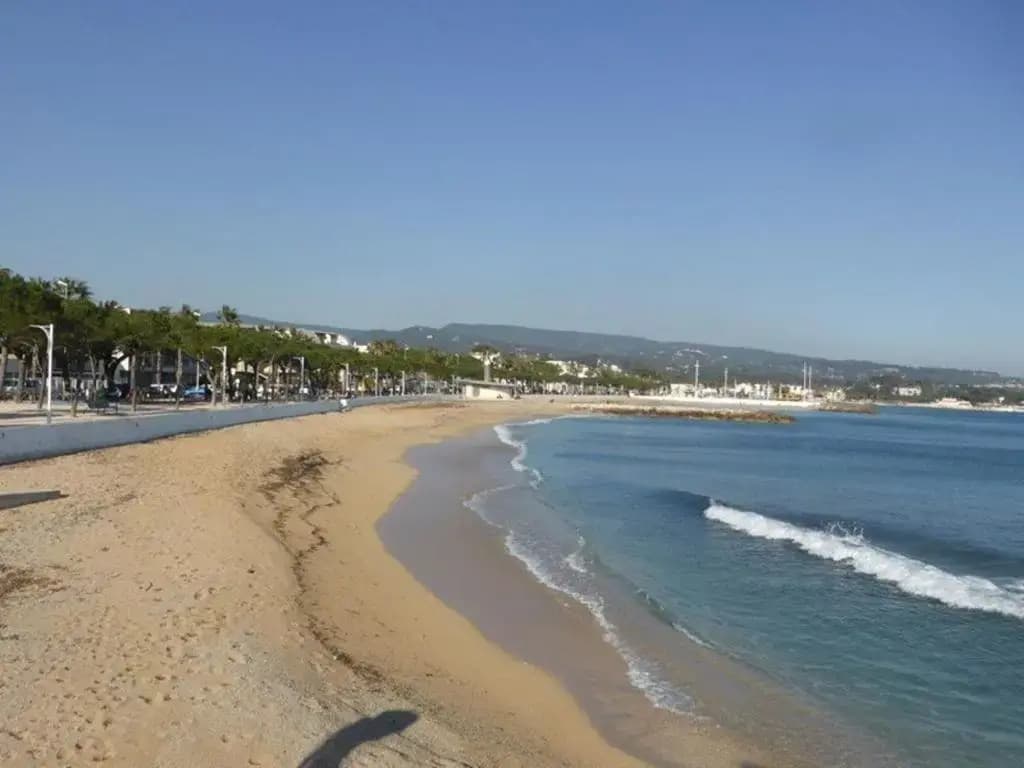 Appartement Six-Fours-les-Plages, 2 pièces, 4 personnes - FR-1-316-58 - Miniature 6
