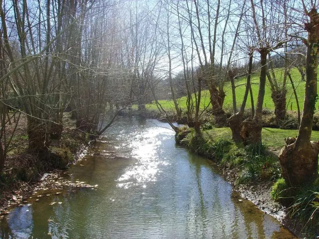 Chambre d'Hôtes Moulin Urketa - Photo 3