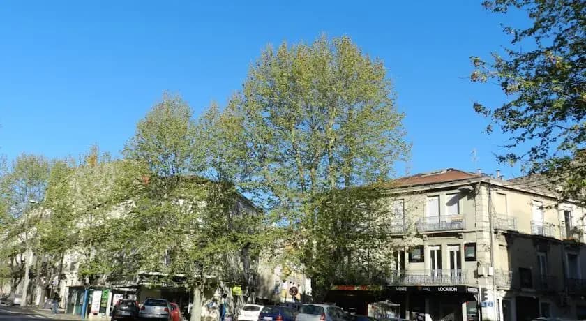 Montpellier Central Studio - Photo 1
