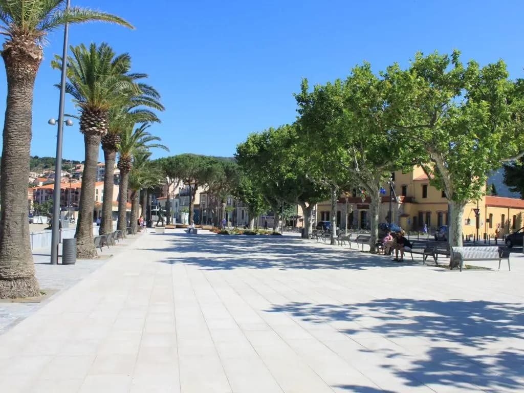 Appartement Banyuls-sur-Mer, 3 pièces, 6 personnes - FR-1-225C-274 - Miniature 6