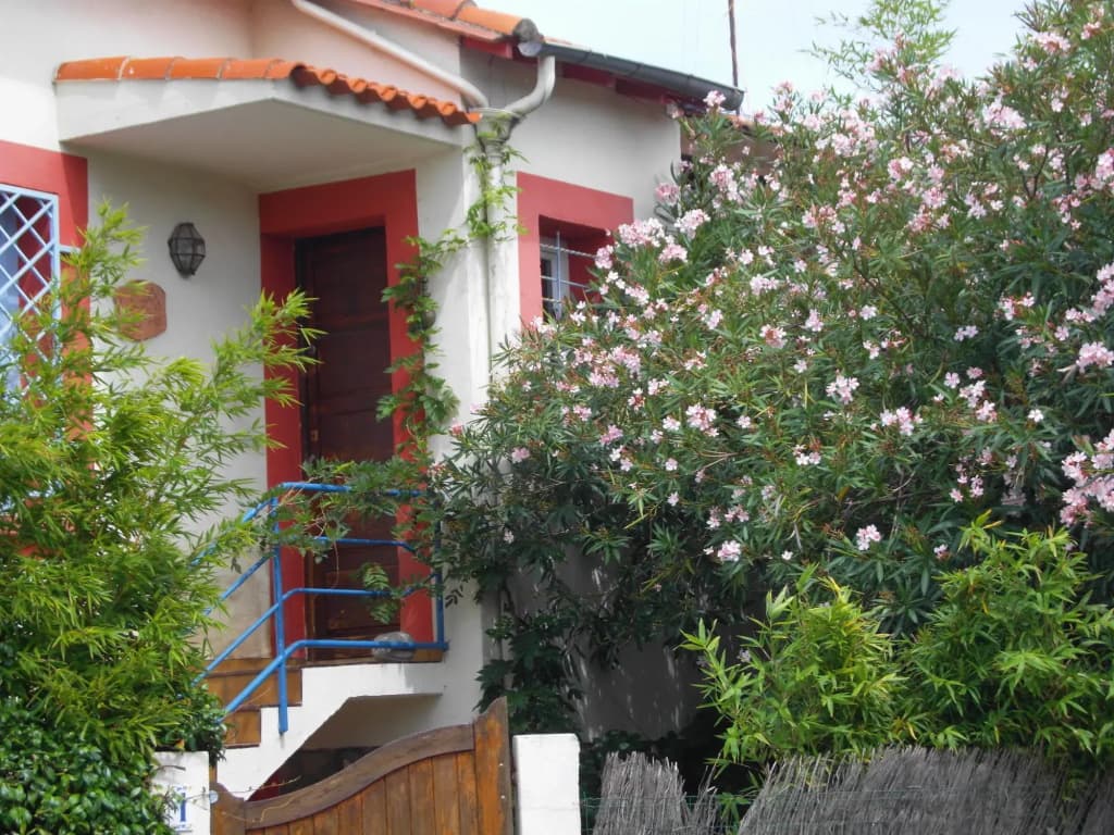 Cielito Lindo - Miniature 8