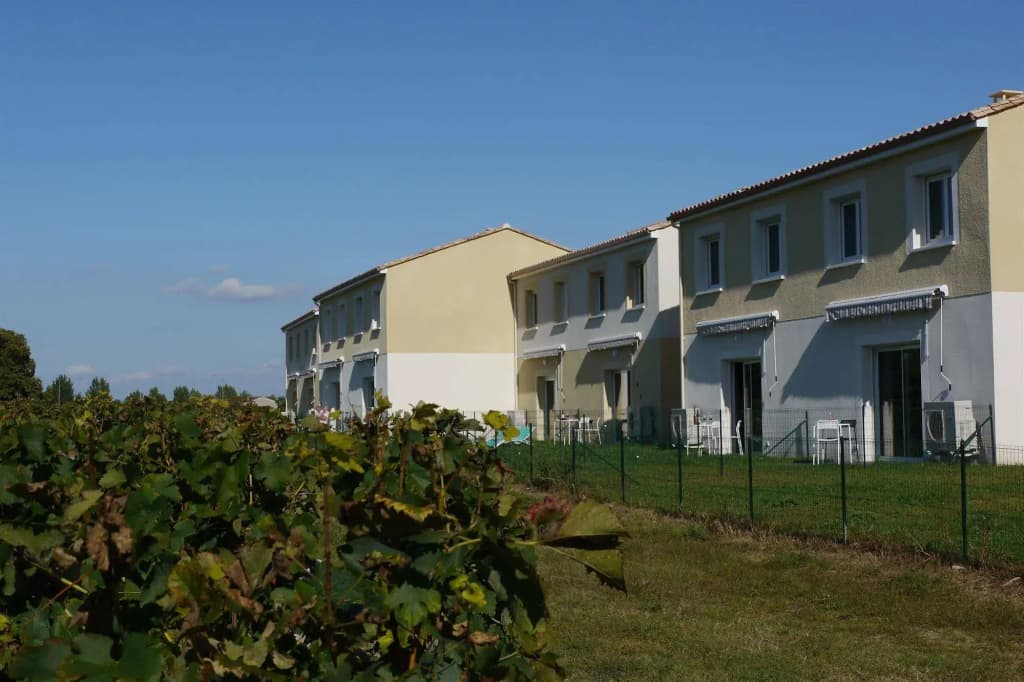 Les Grands Vignobles - Photo 1