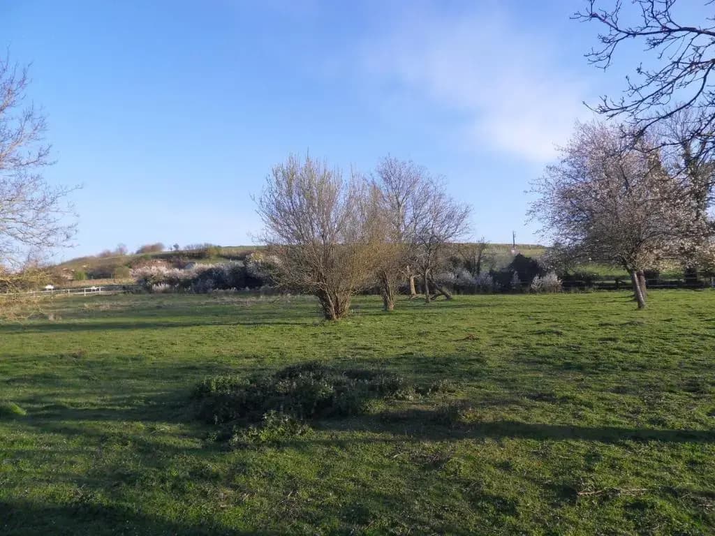 Les Roulottes des Songes de l'Authie - Photo 1