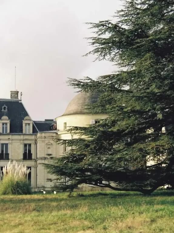 Château Royal de Benays - Photo 4