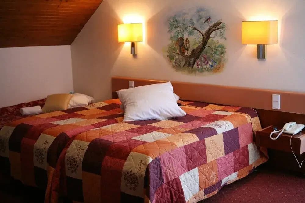 Hotel Restaurant Ernenwein - Photo 4