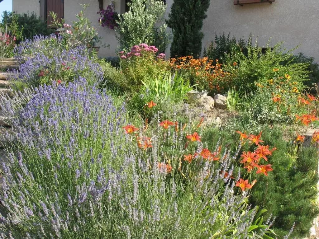 Les Glycines - Domaine Gilles Coperet - Photo 1