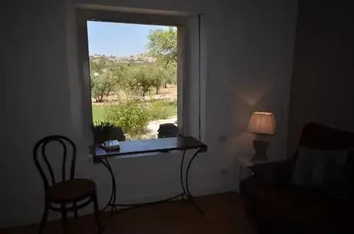 Le Temps des Olives - Photo 3