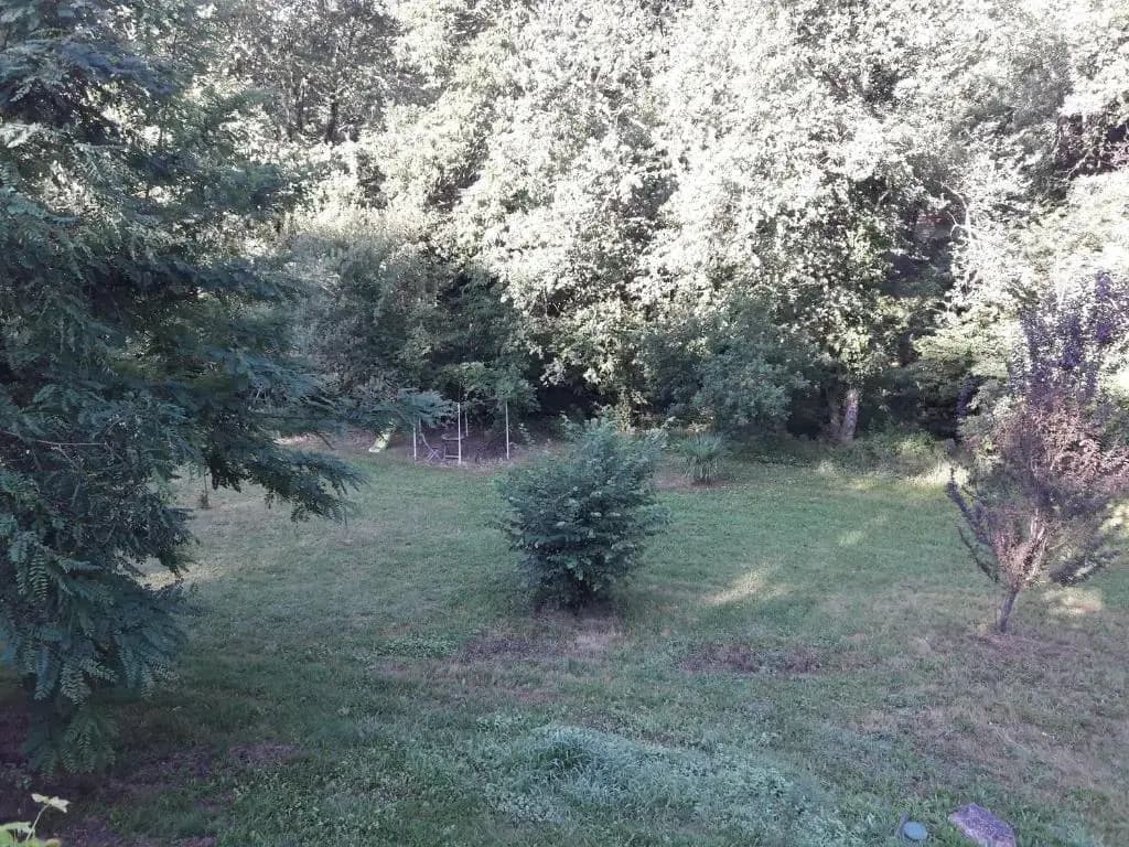 la clairiere - Photo 3