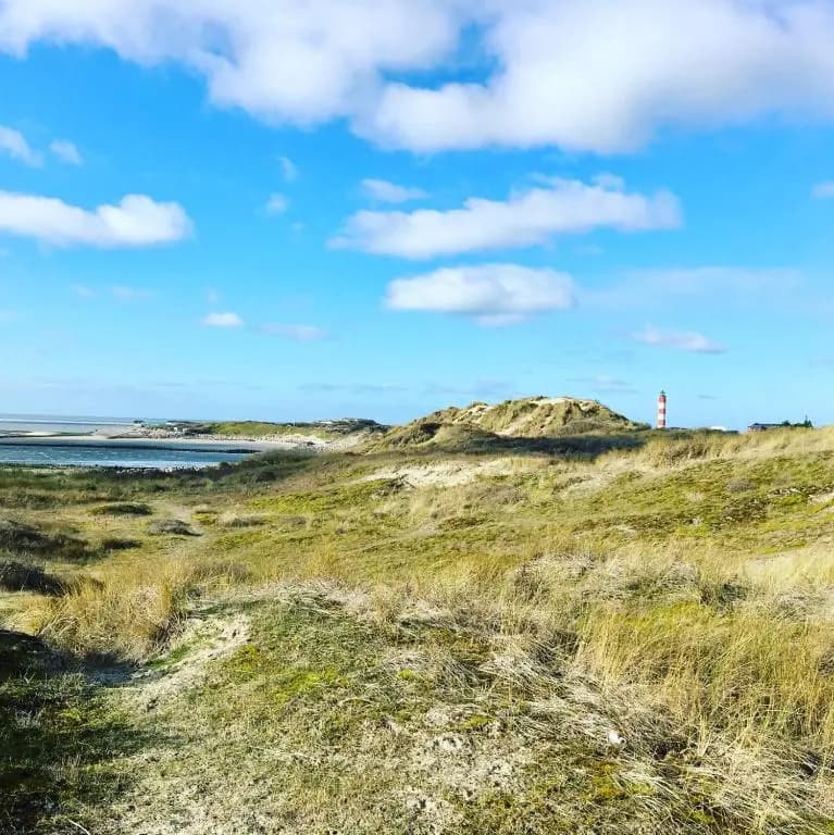 SURF Vue Mer 100m plage - Photo 4