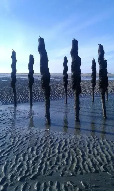 Plaisirs du bord de mer - Photo 3