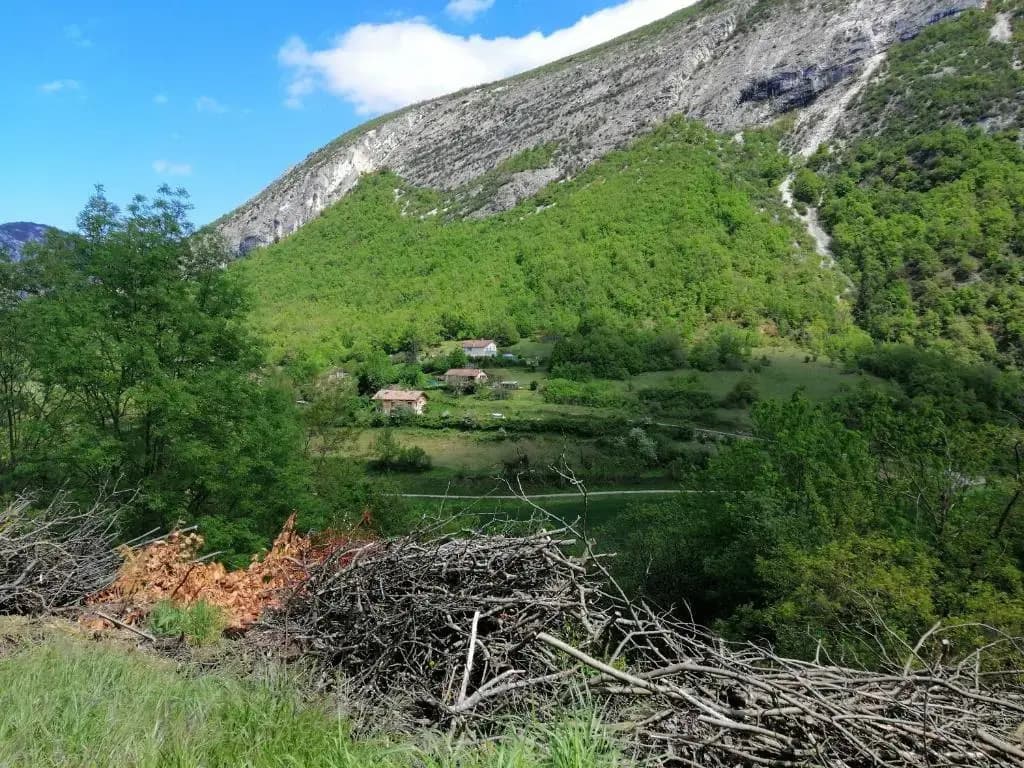 la grande chambre - Photo 2
