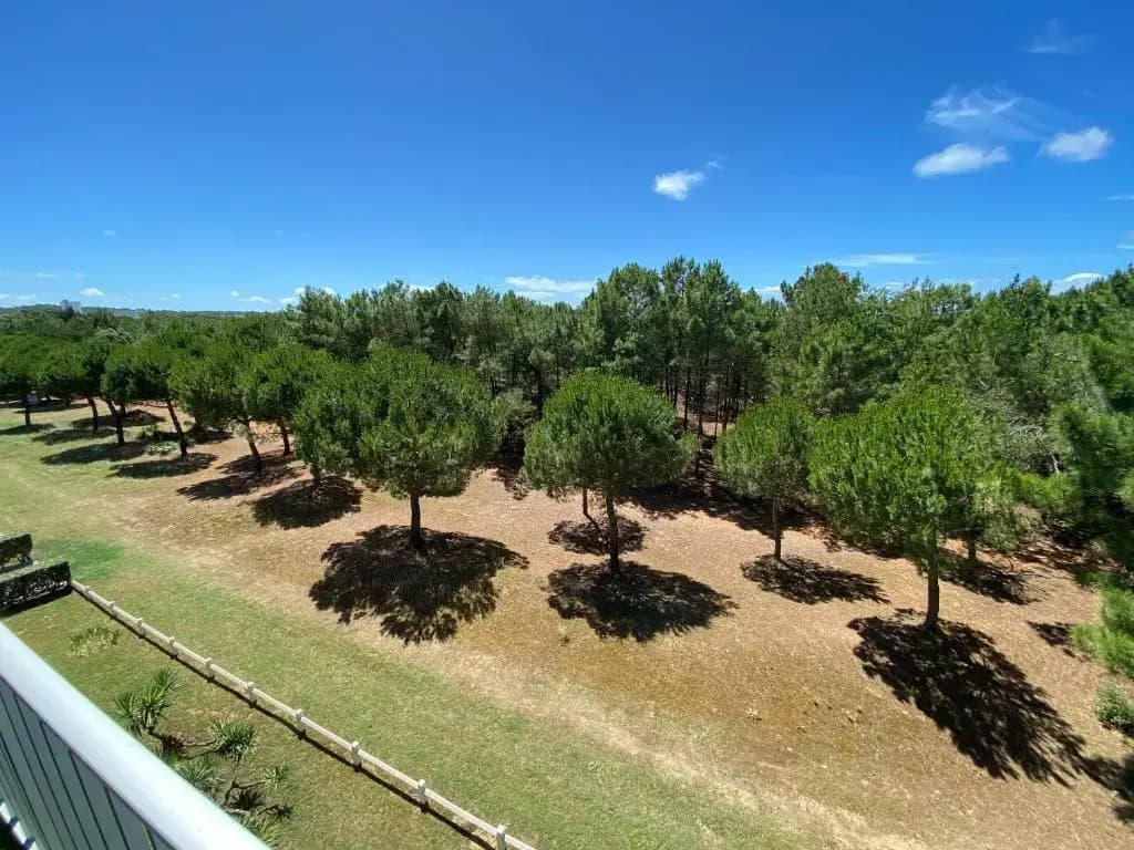 Appartement au bord de mer - Photo 2