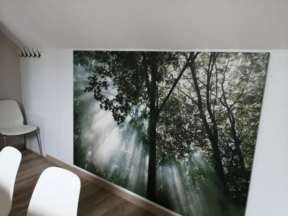 Chambres Zen de Beauval- 800 m du Zooparc - Photo 2