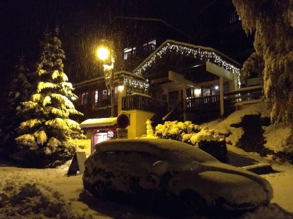 Chalet Hotel Rhododendrons - Photo 5