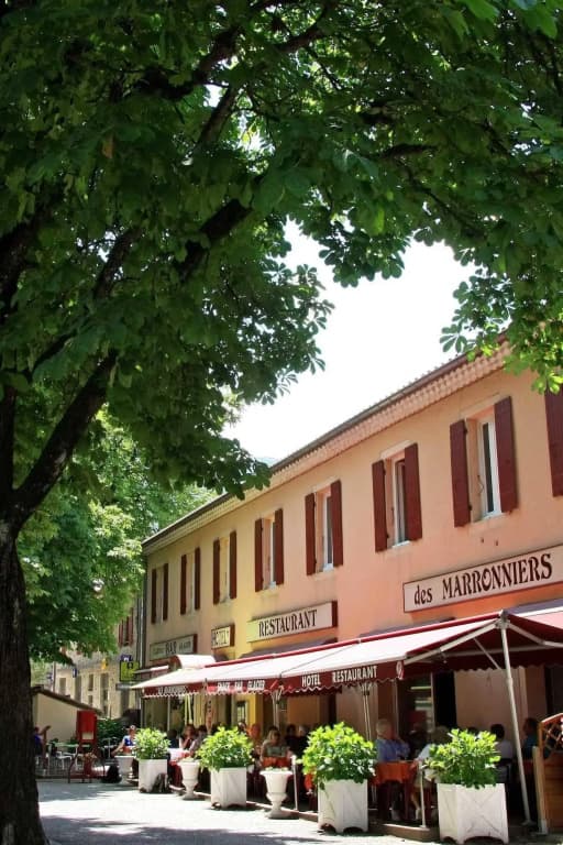Hôtel - Restaurant les Marronniers - Photo 1