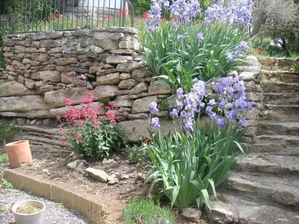 Le Jardin DAdam BB - Photo 3