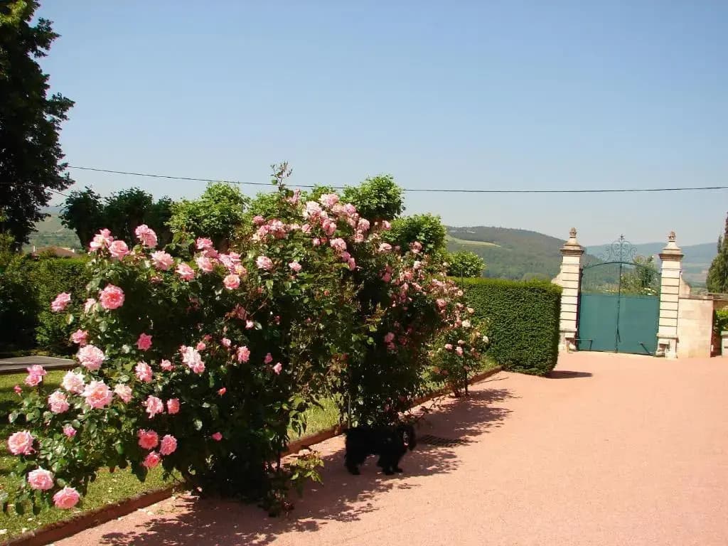 La Gentilhommière de Collonges - Photo 3