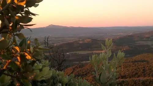 Domaine de Peyre Brune - Gite de Charme En Ardeche du Sud - Photo 3