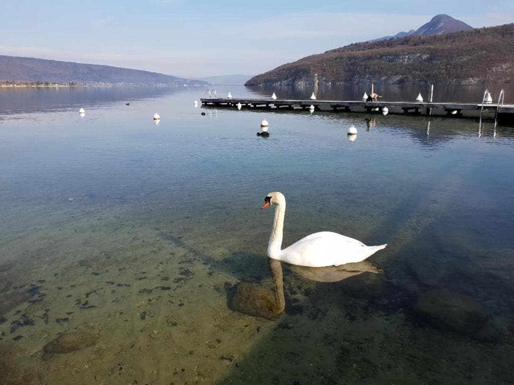 La Baie des Voiles 3 chambres 4 à 6 personnes au bord du lac plage privée - Photo 3