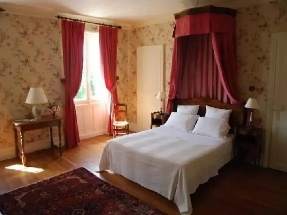 Chambres d'hôtes - Château de la Plante - Photo 2