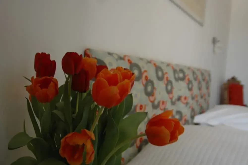 Le Clos de l'Abbaye - Photo 4