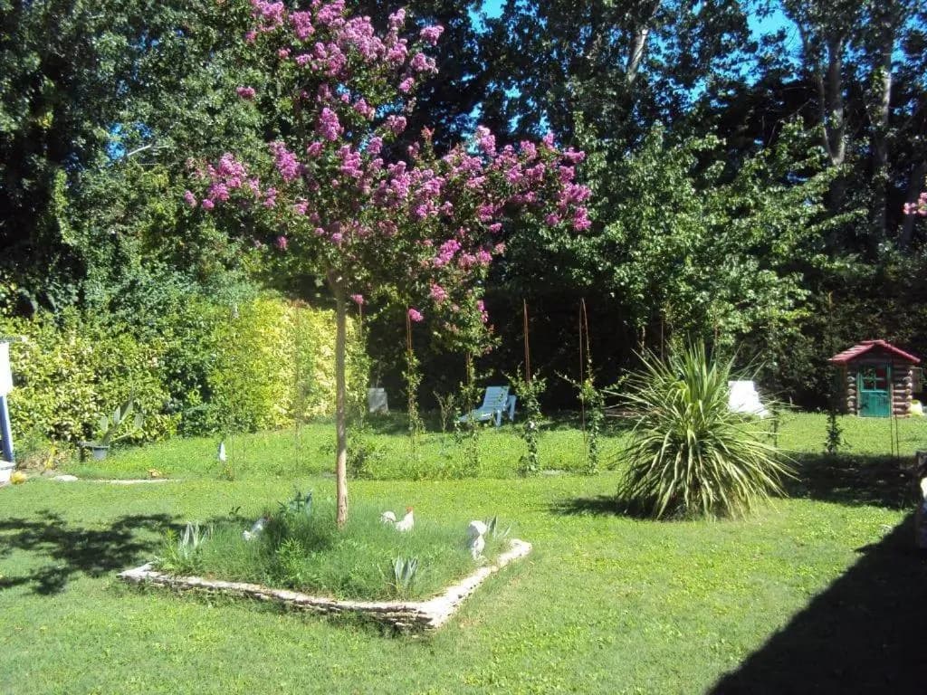 La Douloire - Photo 3
