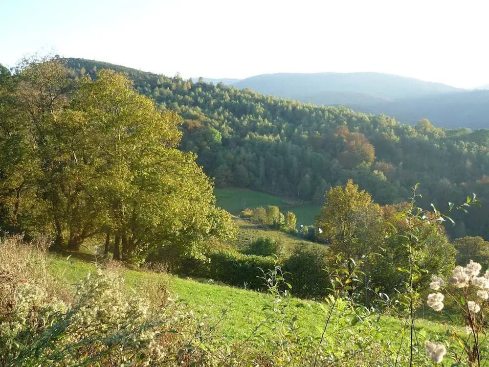 Gîte La Grange De La Hulotte - Photo 5