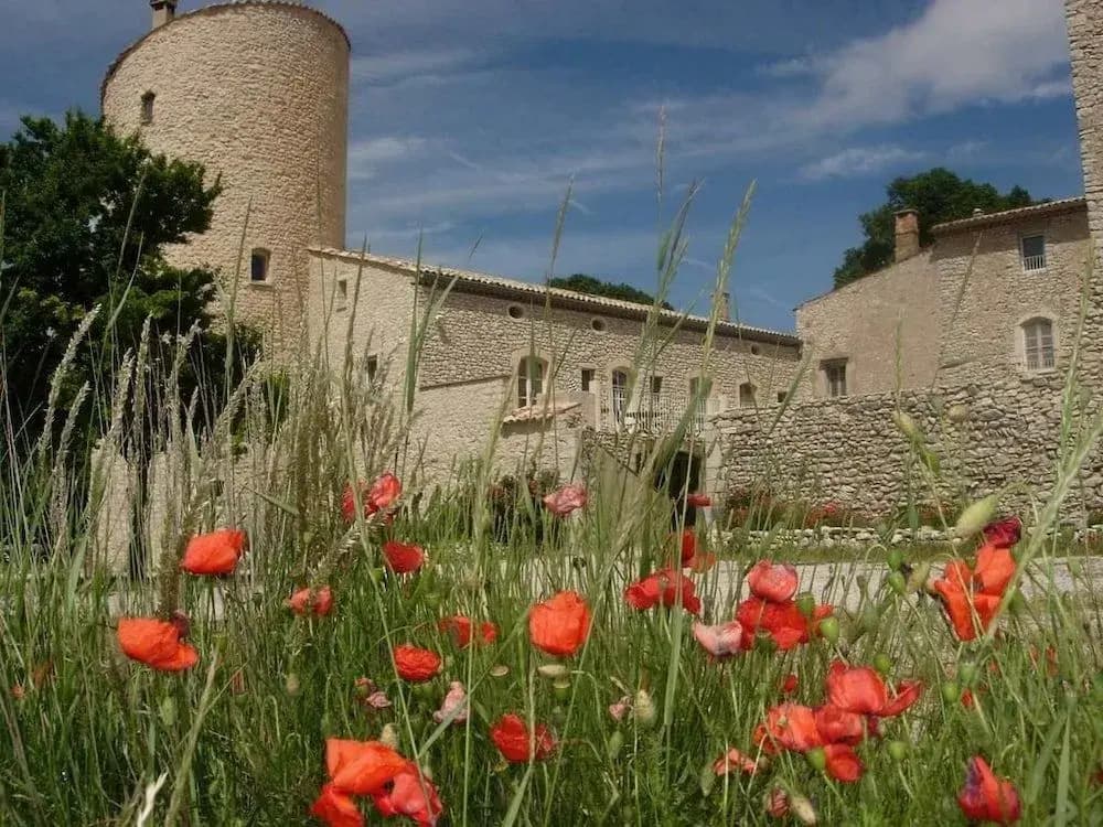 Château de la Gabelle - Photo 1