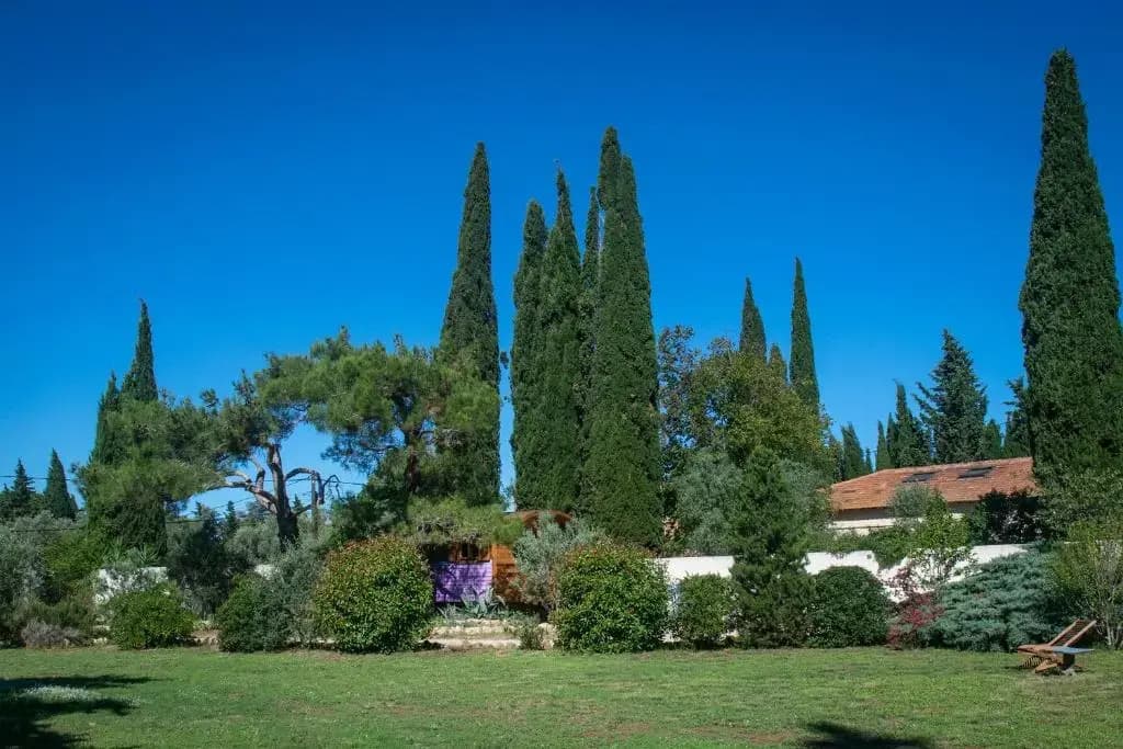 Vintage Provence - Photo 2