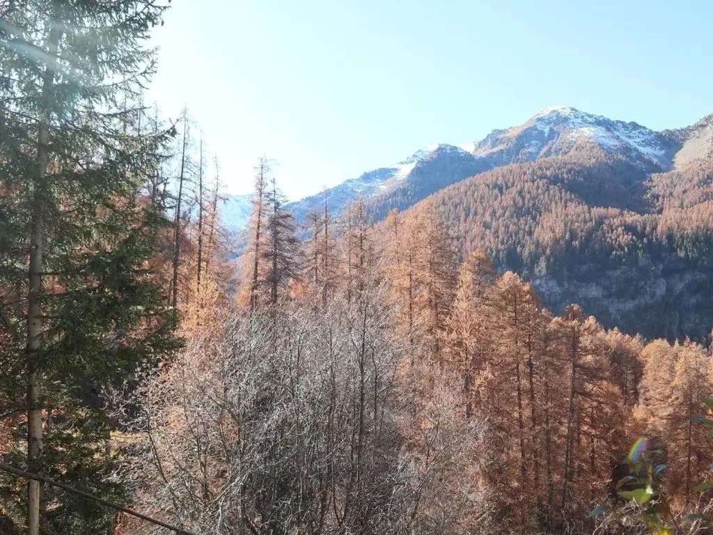 Appartement Les Orres, 1 pièce, 4 personnes - FR-1-322-97 - Miniature 8