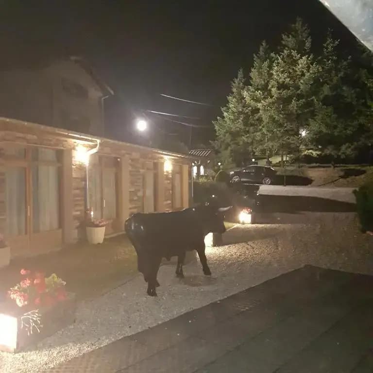 Gite de prejeurin - Photo 3