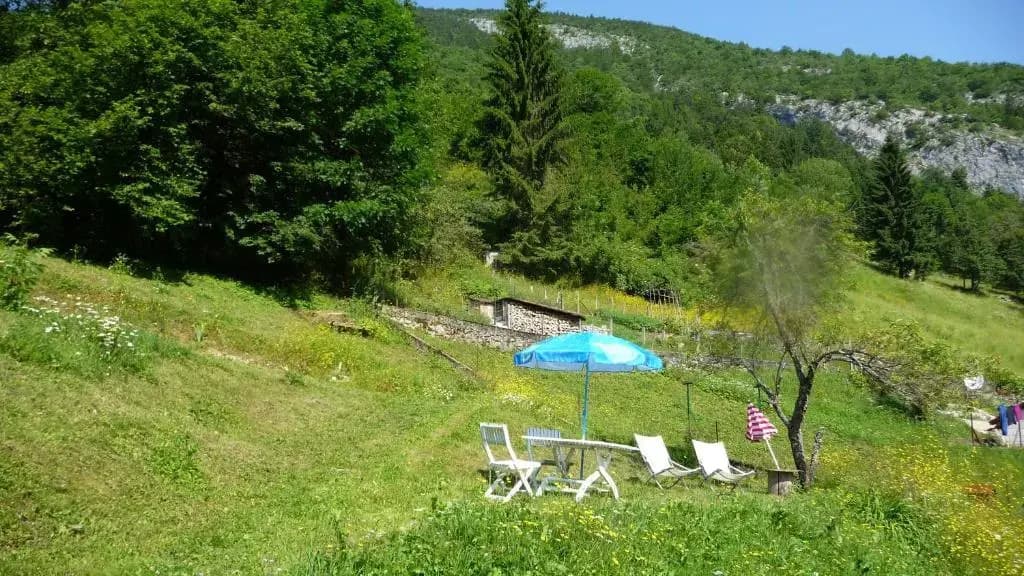 La Chouette à l'heure du Pinson - Photo 2