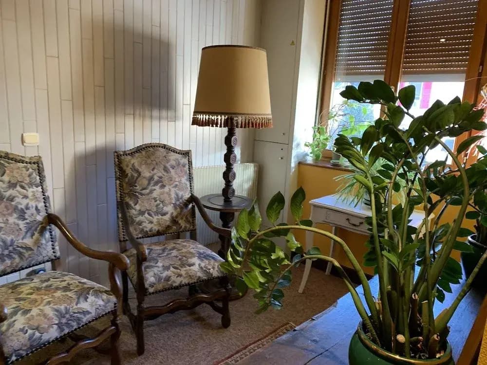 Citotel Les Vosges - Miniature 8