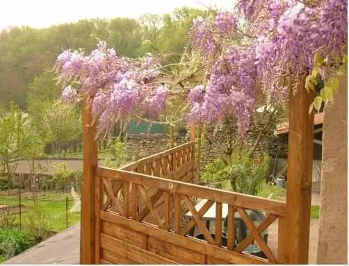 Monts Petit Jardin - Photo 3