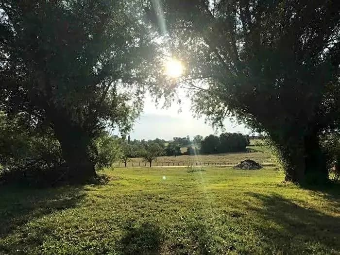 La Grange à outeaux - Photo 1