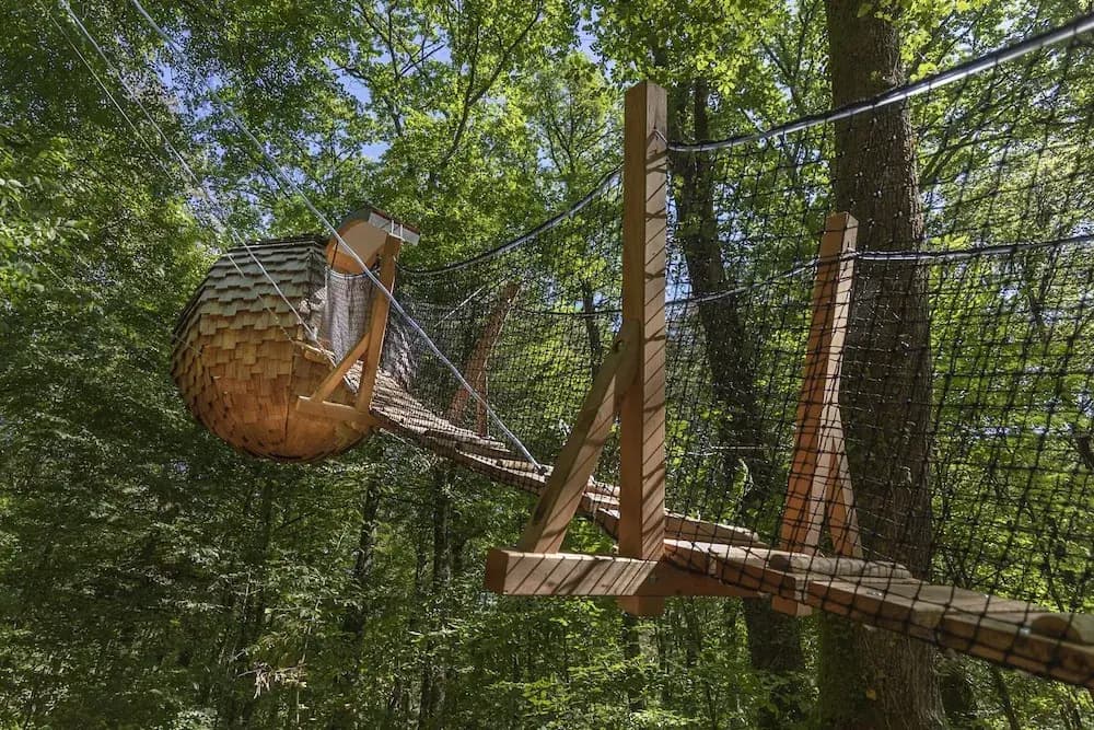 L'Arbre à Cabane - Photo 5