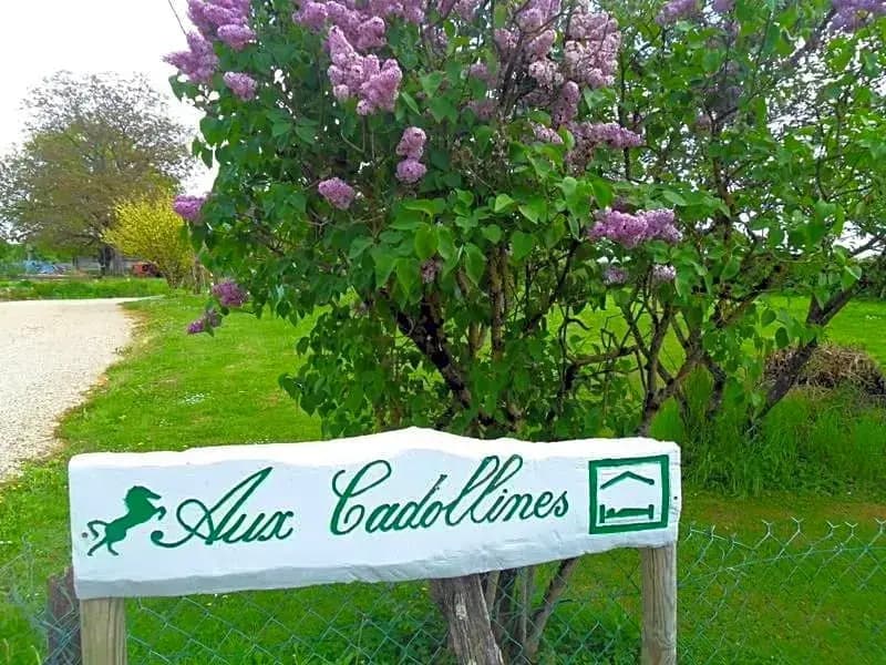 Aux Cadollines - Photo 5