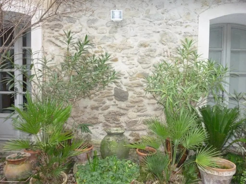 Le Cloitre du Couvent - Photo 5