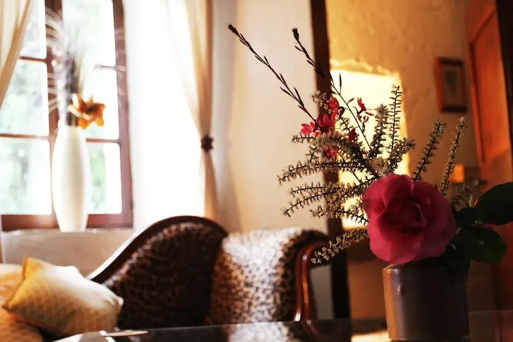 Domaine de Palatz - Photo 2