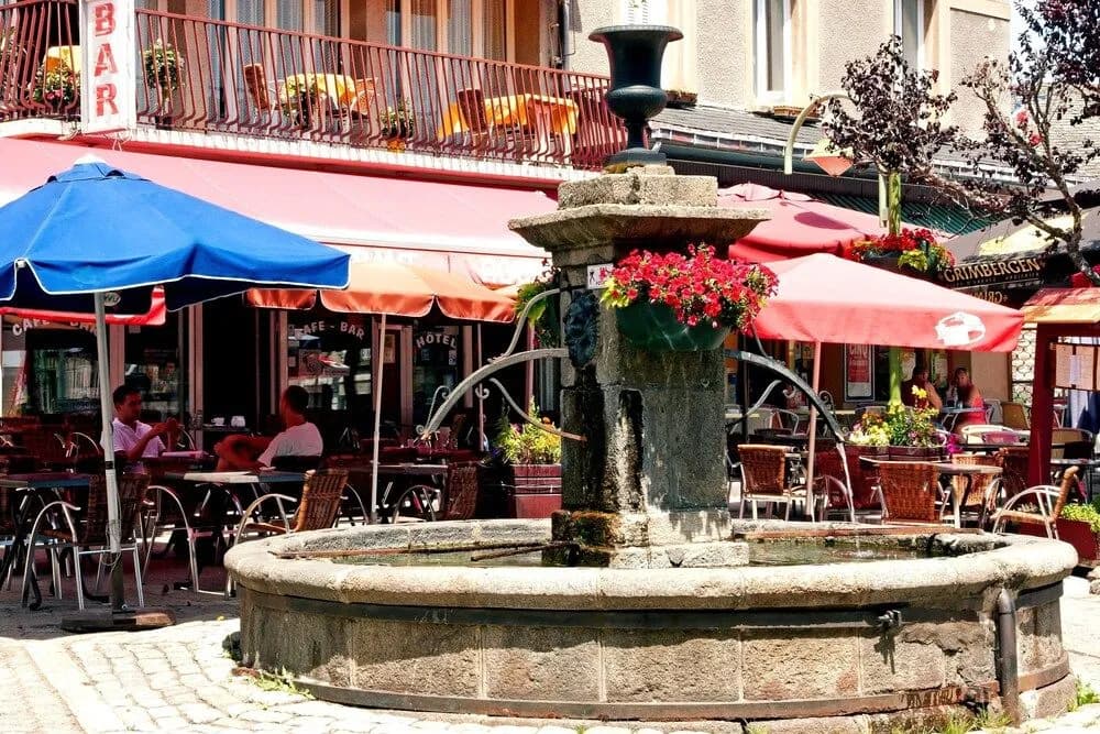 Logis Auberge des Cevennes - Miniature 7