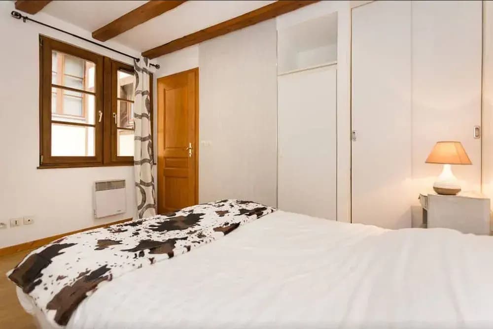 Appartement Les Tanneurs Colmar - Shaaby - Photo 2