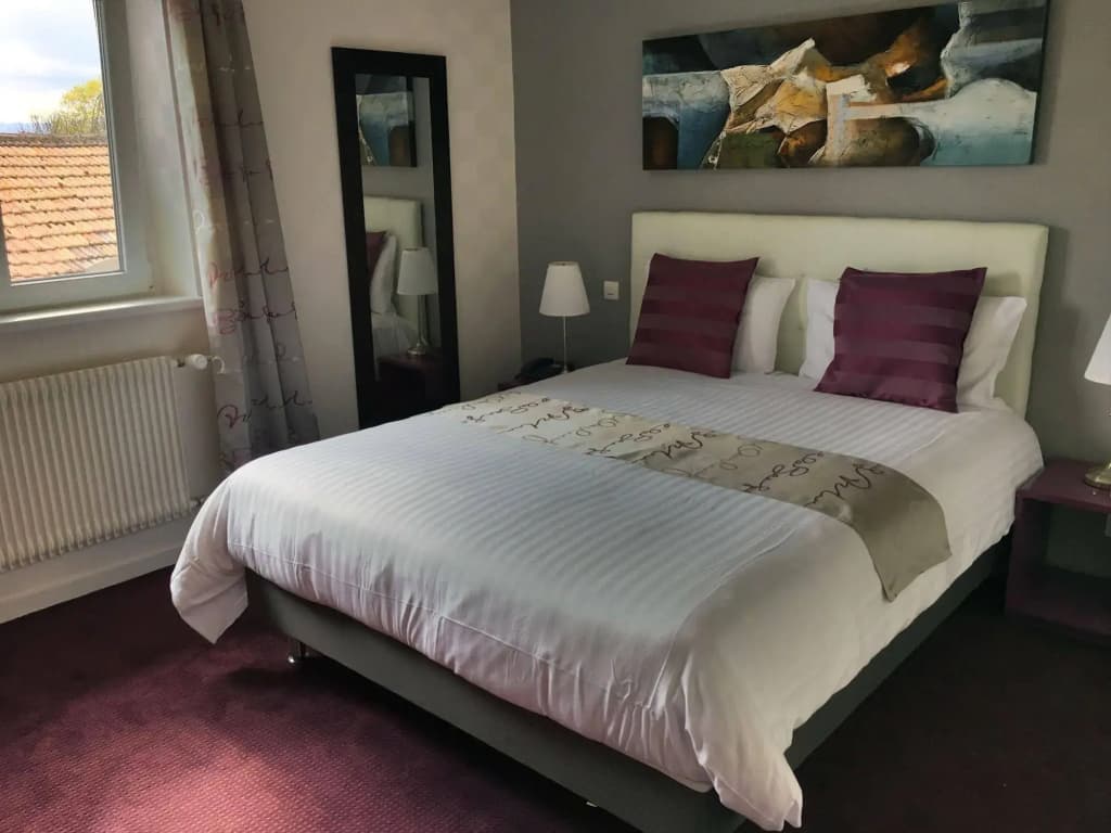 Brit Hotel et Spa COLMAR EAST - Miniature 6