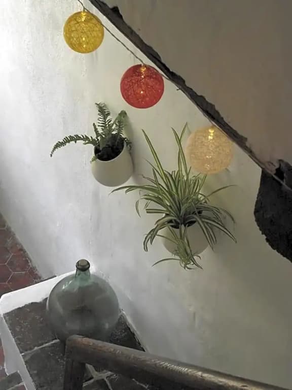 Longo Mai - Photo 2